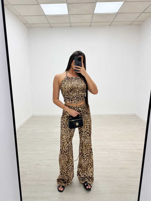 copy of CONJUNTO TIGRE